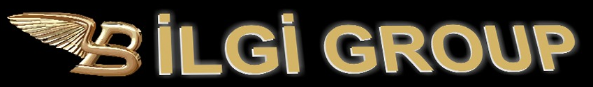 Bilgi_group_logo